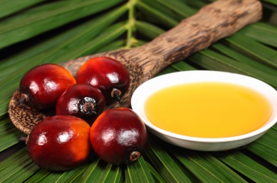 ¿De verdad es tan perjudicial el aceite de palma?